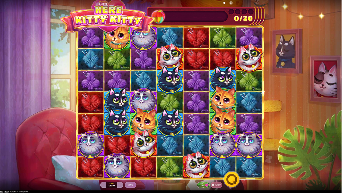Here Kitty Kitty Here Kitty Kitty