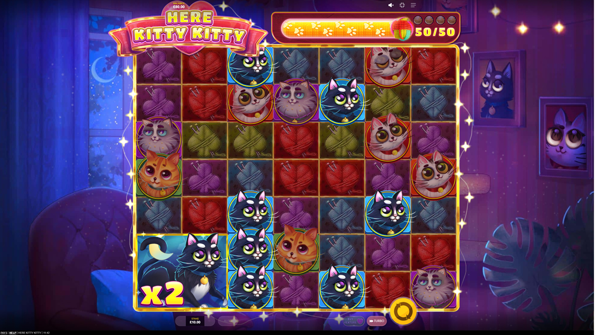 Here Kitty Kitty Here Kitty Kitty