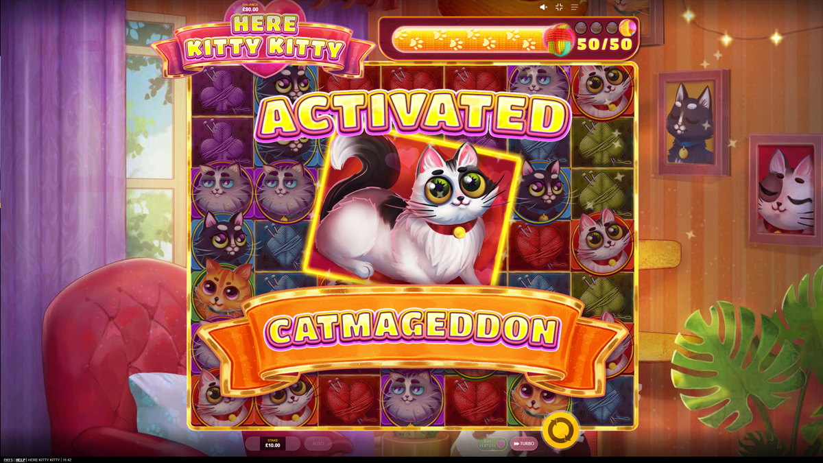 Here Kitty Kitty Here Kitty Kitty